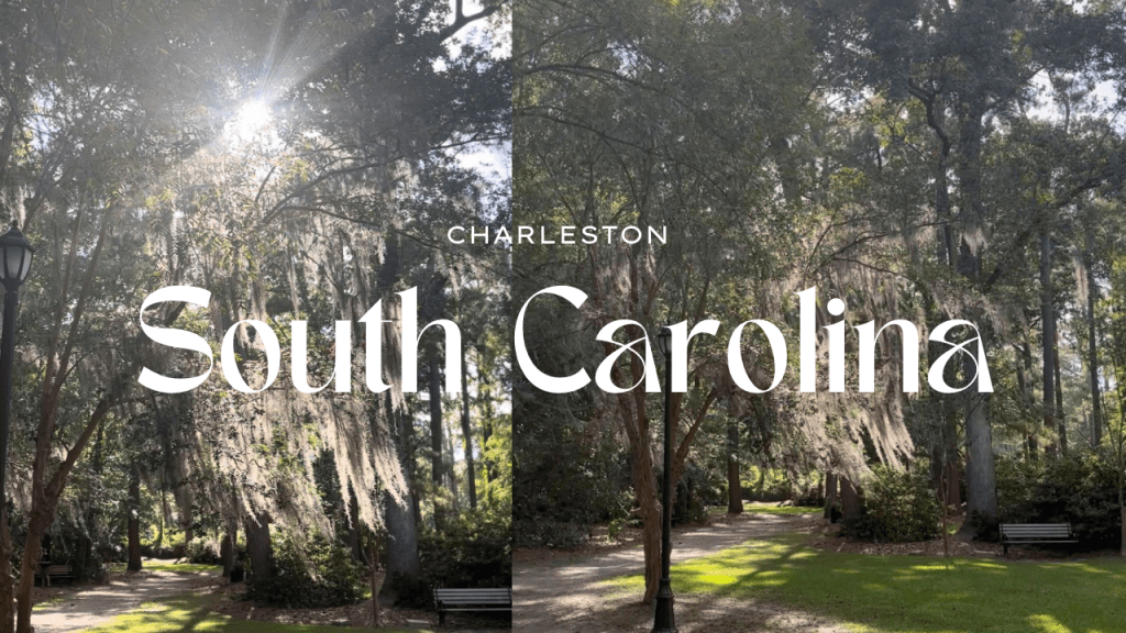Why Moss-Draped Trees Are the Soul of South Carolina’s&nbsp;Lowcountry