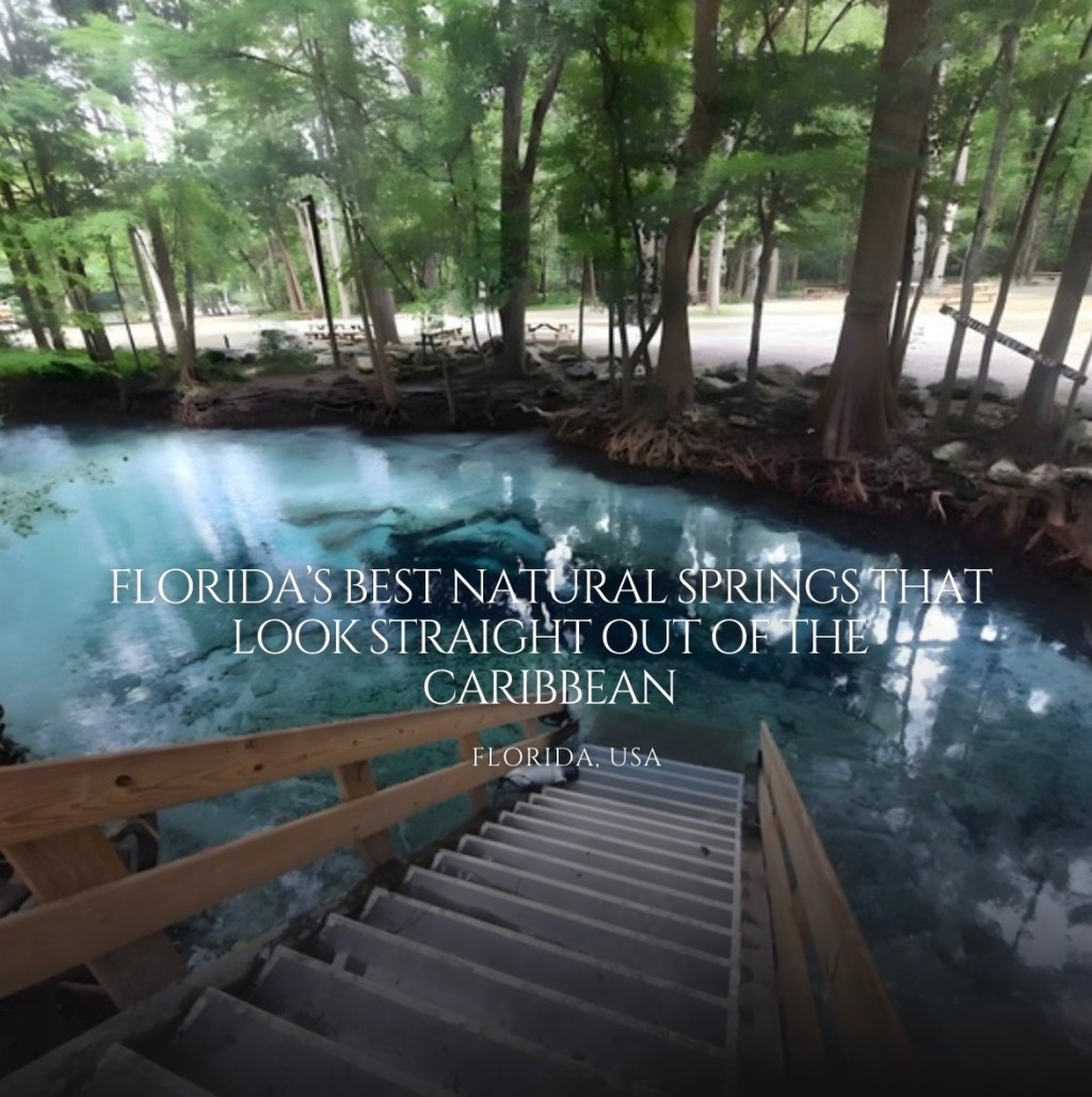  Florida’s Best Natural Springs That Look Straight Out of the&nbsp;Caribbean